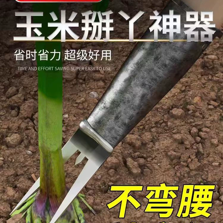 Новые ростки кукурузы артефакт