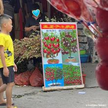 ܇ӈ@ˇԷǘ辰Էǹܽؔ؛®aƷ