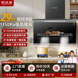 抽油烟机;燃气灶具;洗碗机