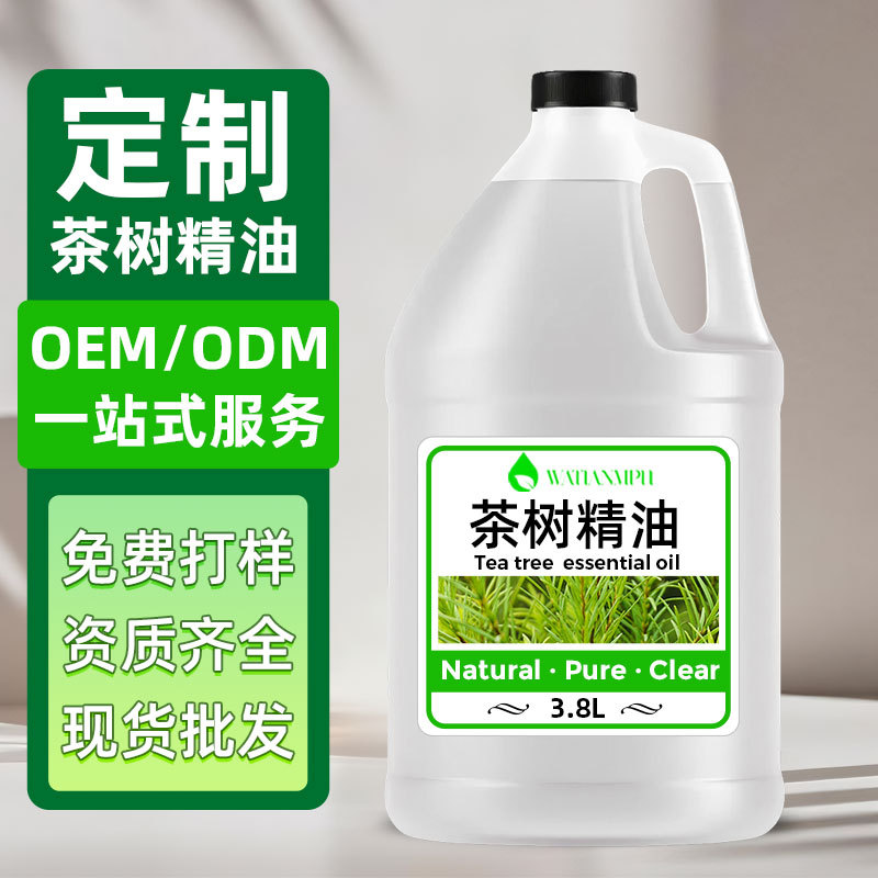Badaling factory wholesale tea tree essential oil, plant single essential oil, can be packaged into small bottles as an ingredient for aromatherapy and cosmetics.