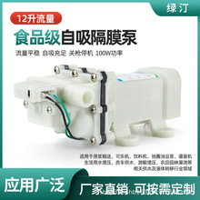 12v24v食品级可乐机泵饮料机纯净水泵果汁机自吸泵12升流量