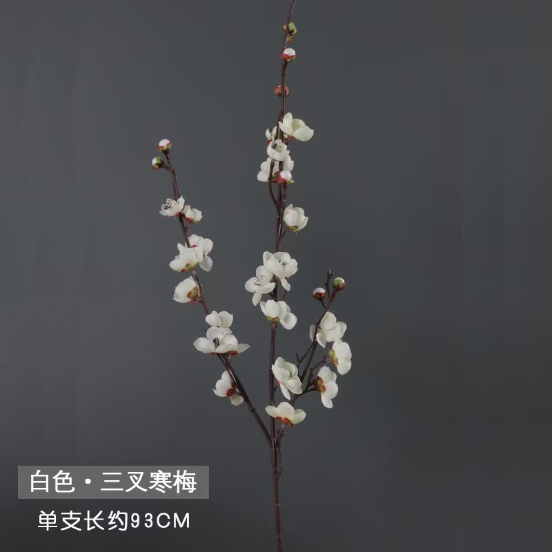 작은 세 갈래 매화 흰색