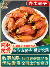 野生栀子500g克山栀子栀子果红栀子干泡茶泡水食用上色材