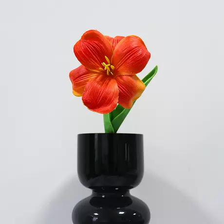 orange brownie tulip
