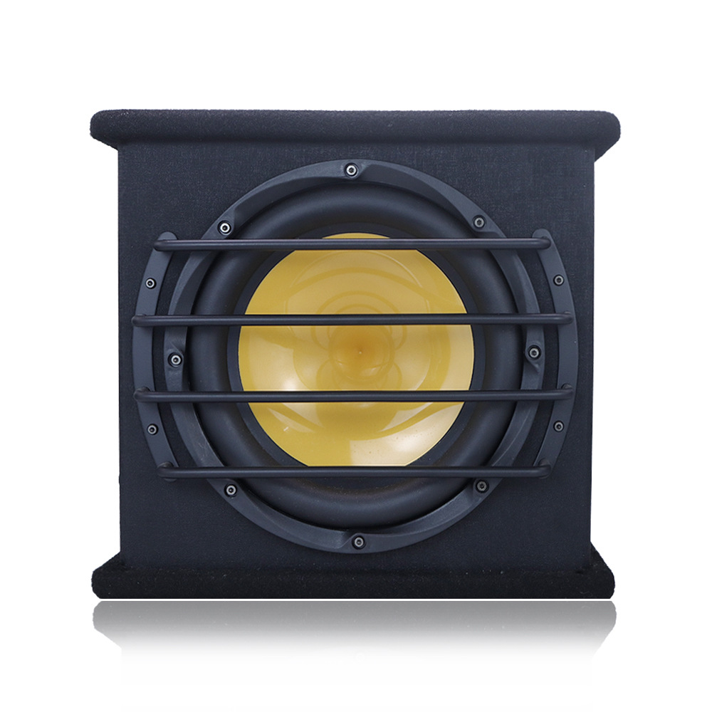 Manufacturer Supplies Car Audio 10inch Active Subwoofer with Amplifier Super Power Subwoofer Hs-1003