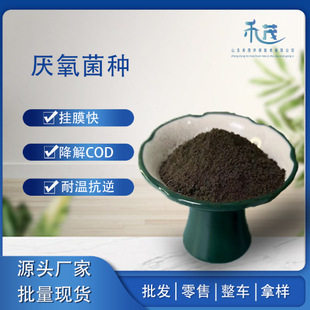 ��ˮ̎�����N����������BODCOD�m���ԏ��p������a���������ٷֽ�