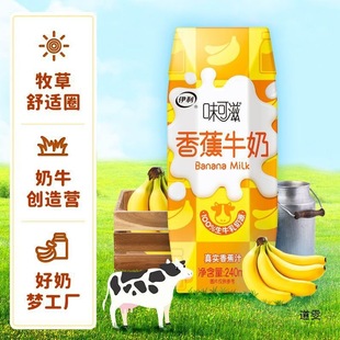 Wecoz Banana Flavor Chocolate Flavor Student Milk Nutrition Partner Whole Box Wholesale