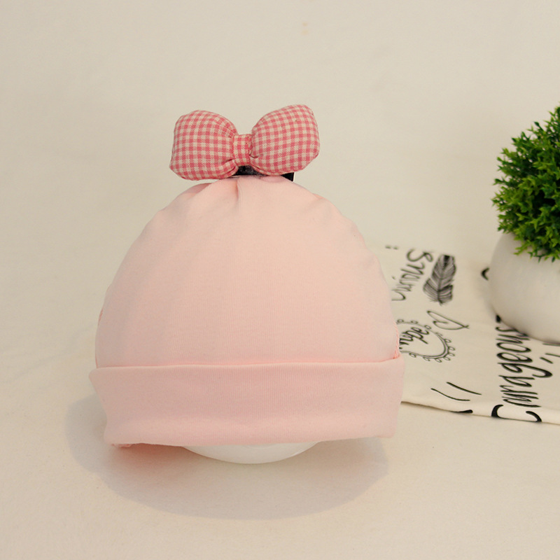 핑크 나비 + 나비