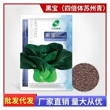 ڌK˷Nں~_ļ߲͟˷Now߮a40