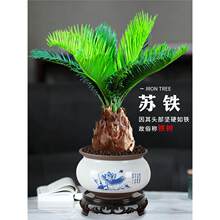 �F���辰�҃Ⱥ��Bֲ����ؔ���Ի����k����ͥԺ�F�����ļ���������