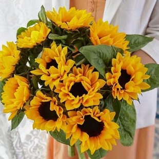 Sunflower Bouquet Flower Arrangement Yunnan Direct Delivery for Teacher's Day Gift for Teacher Wedding Won First Place in College Entrance Exam