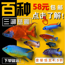 �����������w�~���R���t�������������{���R�������tС���җ�