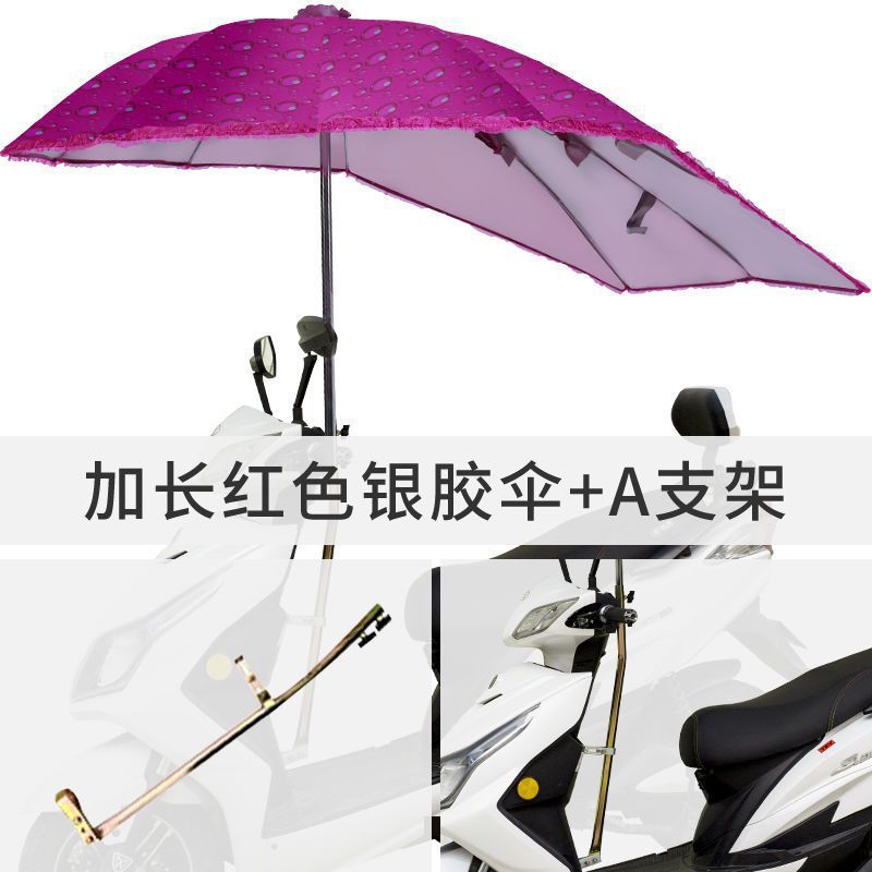 El Red Silver Squirrel