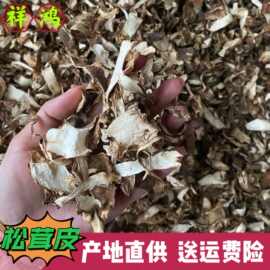 【松茸皮】云南香格里拉特产松茸皮火锅料煲汤菌菇食材 批发代发