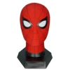 Dutch brother expedition to Spider -Man movie restore version of the headhole (average)
