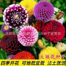 ͺܷNӴС ɫ ˷NӷNȫ]