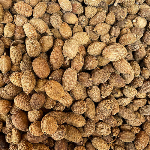 Spices Sichuan Xiangsha Ren Mao Sha Ren 500g Guizhou Xiangsha Yizhi Ren stewed meat Yangchun Sha Ren braised dishes spice