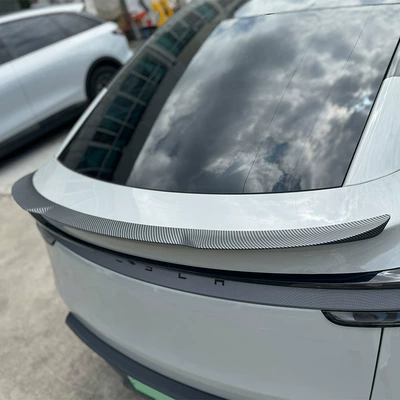 Fixed wind wing | Tesla Tesla Model Y