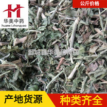 透骨草1000克【华美中药】中药材批发现货供应【珍珠透骨草】新货