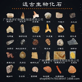 石膏工艺品;标本;宝石工艺品