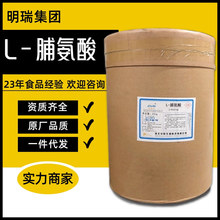 华阳L脯氨酸 食品级氨基酸粉饲料食品添加营养强化增补剂脯氨酸