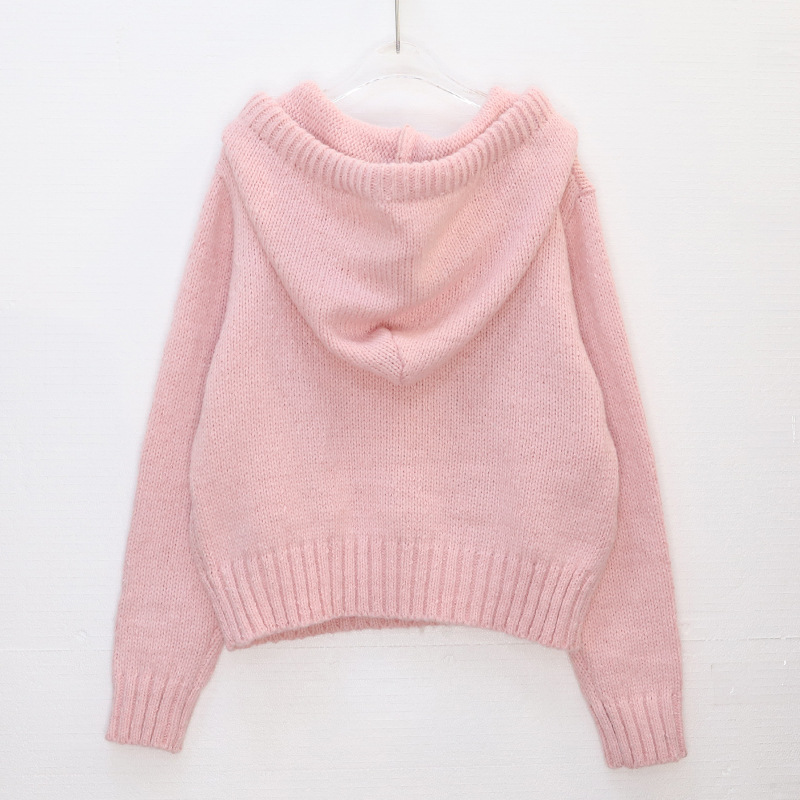 Women's Clothing light luxury sequined hooded sweater autumn and winter high end temperament versatile warm long sleeved knitted sweater women's trend_voghion.com