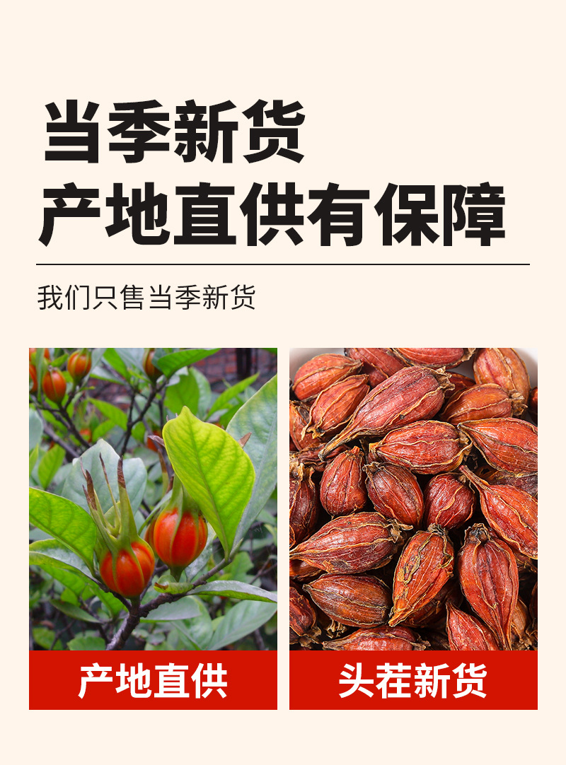 Gardenia Fruit (Gardenia jasminoides) — Dried Zhi Zi for Herbal Tea, Natural Coloring & Braising quality and texture