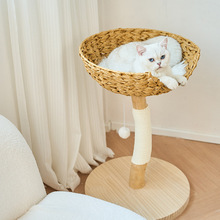 猫树猫爬架小型小户型实木藤编风高颜值磨爪猫窝一体不占地猫玩具