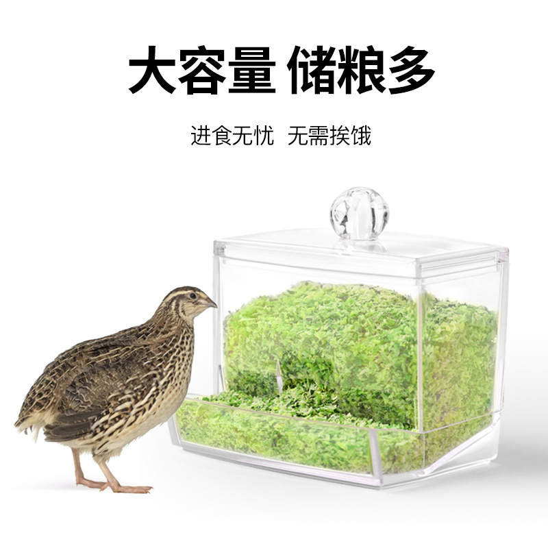 Rutin chicken feeder automatic chicken food box trough food pot food tank feed box feeding drinking water feeder wholesale