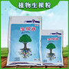 Botany currency ABT Cuttings Transplanting tree Seedlings Big tree Rooting agent Nutrient solution flowers and plants Rooting liquid