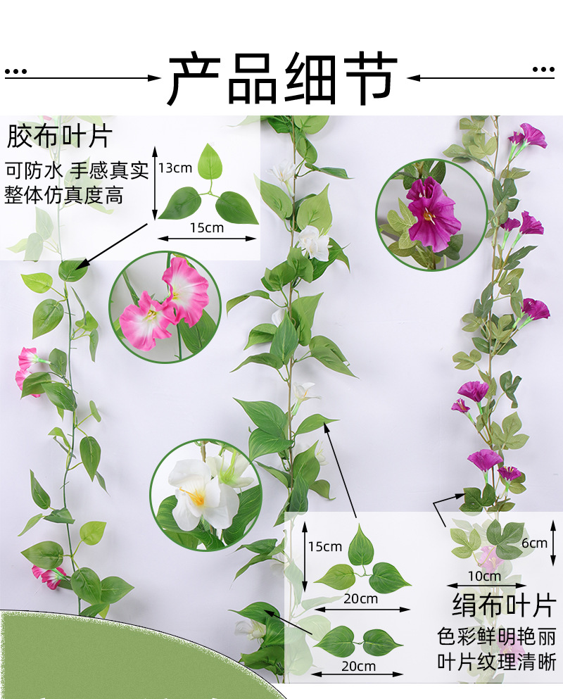 喇叭花藤