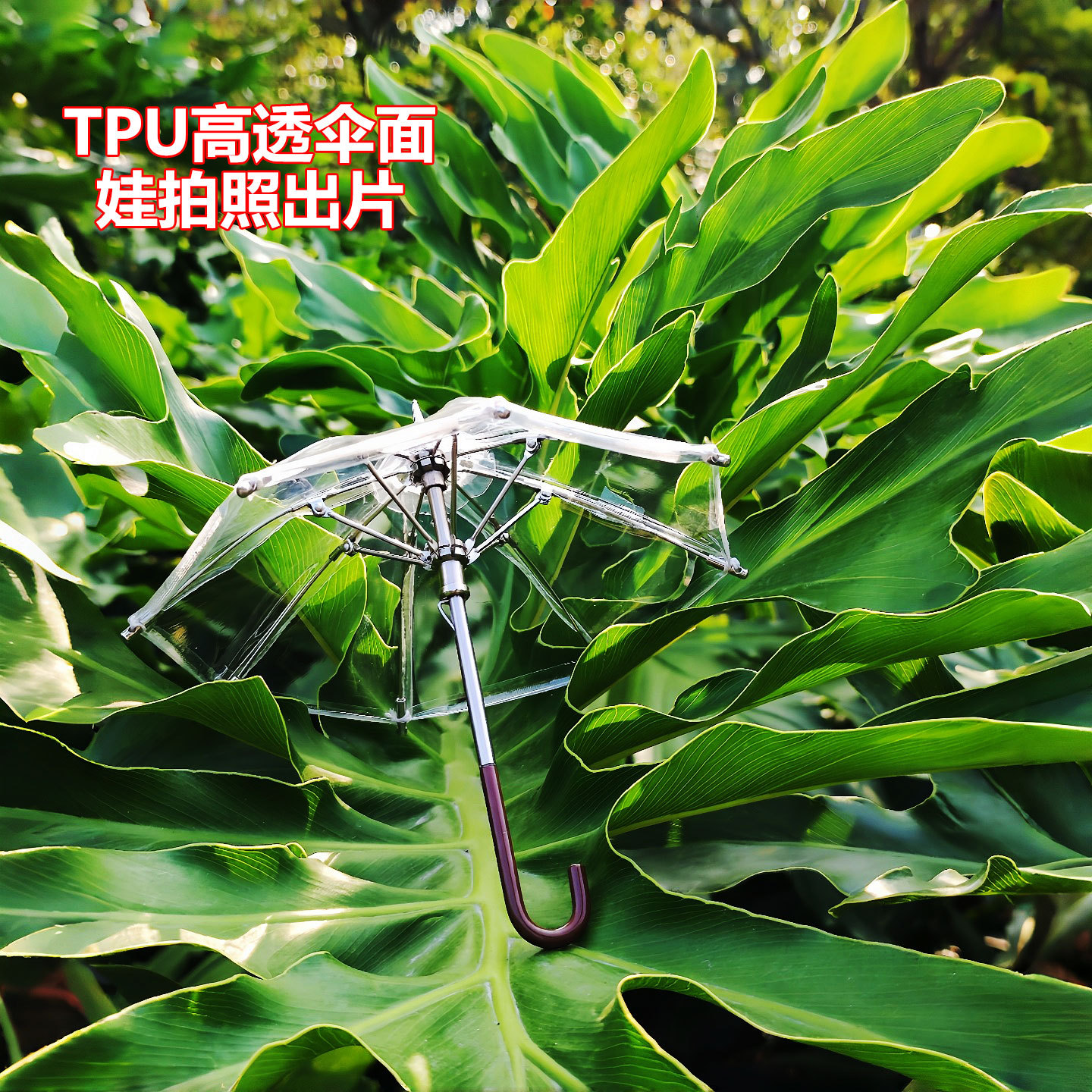 bjdɡ����12��͸������Сɡ���յ���΢���ɿ��Ϲ������ɡob11