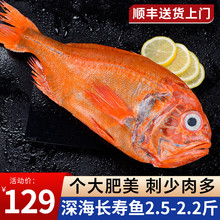 海皇湾海捕长寿鱼 深海鱼 冷冻生鲜 个大肥美 长寿鱼，2.2-2.5斤/