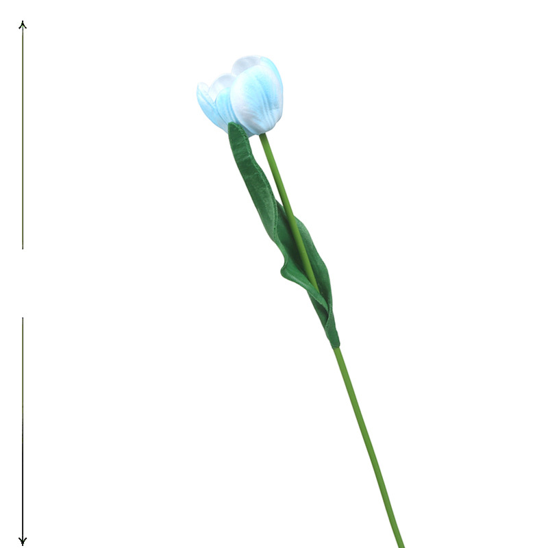 흰색 파란색