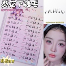 �~СѾ�¿�����½�ëX09�ֶ�ʽV��͸�������������R����Ȼ�ٽ�ë