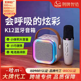 定制K12蓝牙音箱一体机卡拉便携唱歌迷你无线音响K歌K歌神器