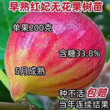 �o��������������Ʒ�N����ļ��ͺ����Ե����Ϸ������Nֲ�������