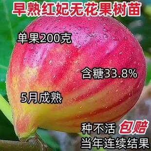 �o��������������Ʒ�N����ļ��ͺ����Ե����Ϸ������Nֲ�������