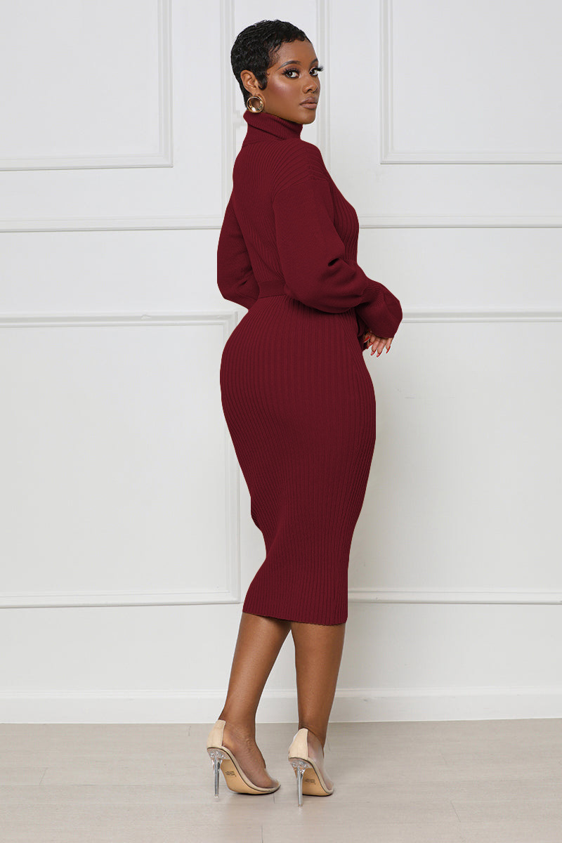 Women's Clothing solid color high collar knitted strap dress_voghion.com