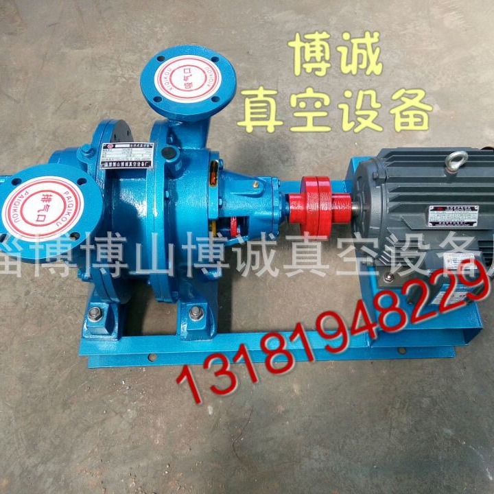 供应优质SZ-1系列水环真空泵及压缩机  不锈钢水环真空泵