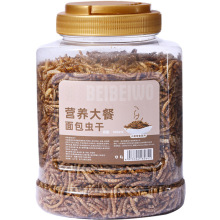 金丝熊网红仓鼠的食物和小零食大礼包磨牙棒面包虫干粮食之满