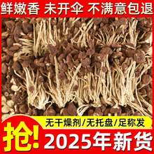 江西特产野生茶树菇干货旗舰店香菇蘑菇虫草花菌菇类煲汤食材大全