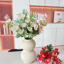 ����С��5���������컨���������������b� �������S��ֱ�N