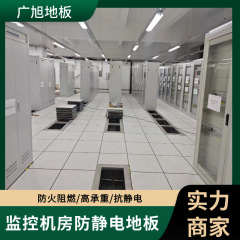 コンピュータルームの帯電防止床 600*600 PVC 火災監視高架活動国家標準全鋼帯電防止床