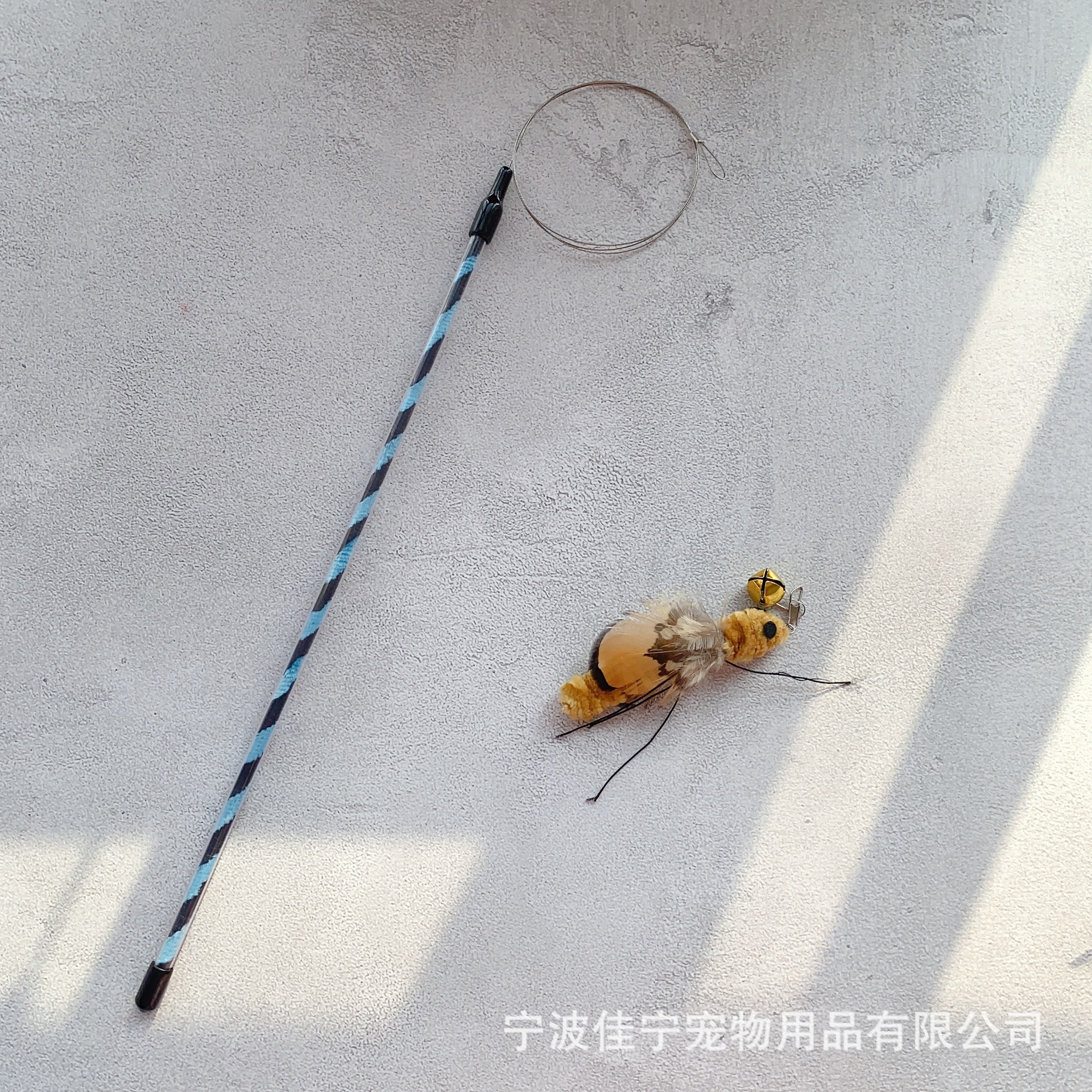 IMG_5783(20221209-035257)