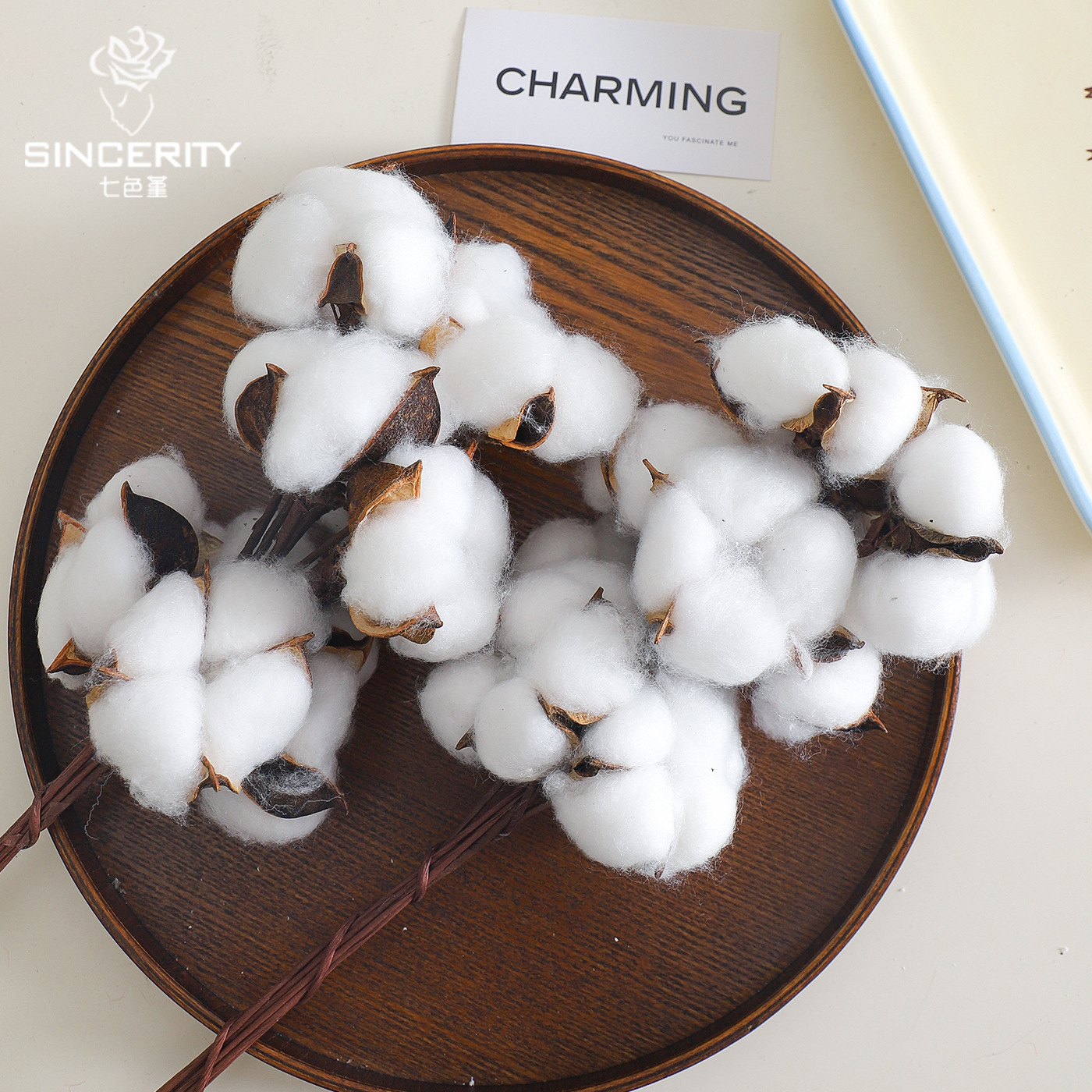 Navidad ins caparazón de algodón natural con varilla flor seca flor artística DIY accesorios ramo florista material de decoración