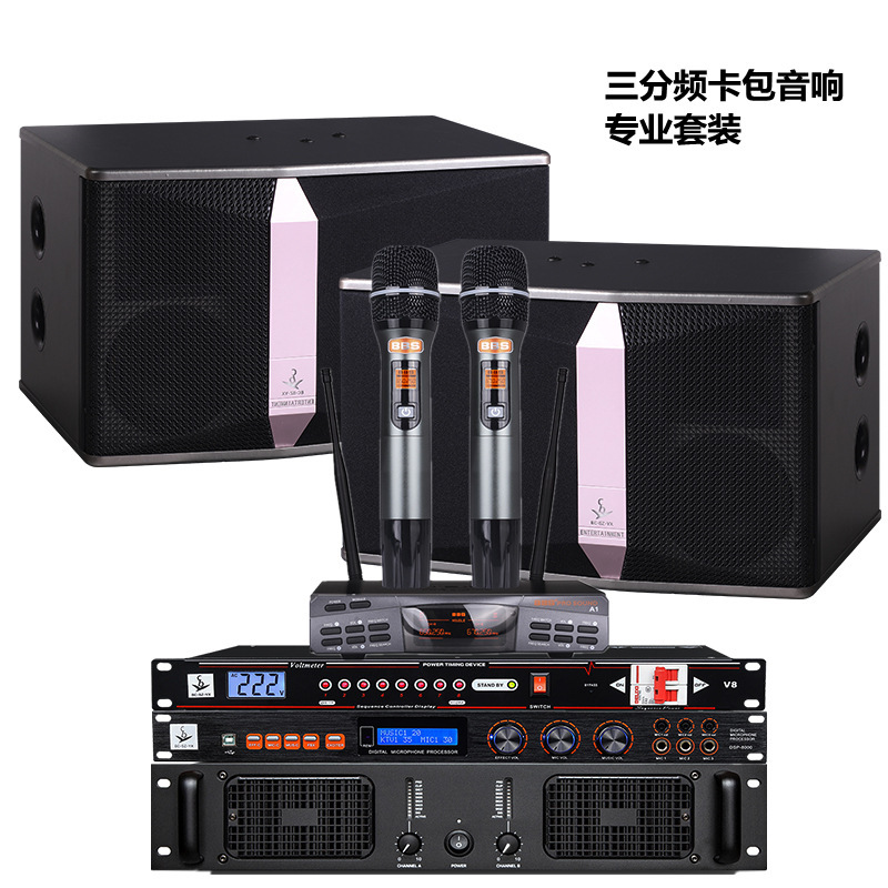 Paquete de sonido de tarjeta de frecuencia de división de tres KTV conjunto de sonido karaoke sistema de amplificación de sonido gimnasio sonido al por mayor