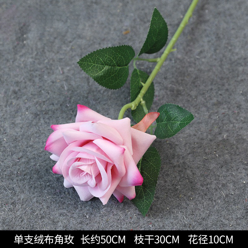 단일 플란넬 각도 로즈