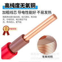议价  ZC-BVV-1X6   BVV-1X6  ZC-BVV  BVV  阻燃纯铜芯双皮硬线