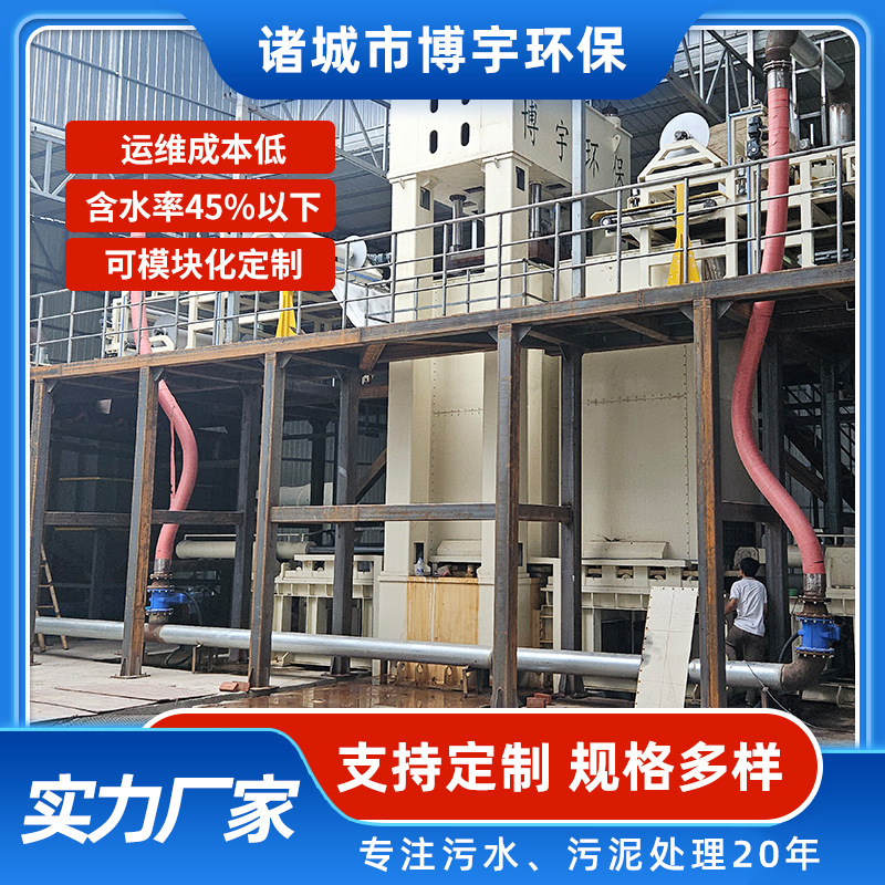 博宇污泥水泥窑掺烧超高压污泥二次脱水机 全套污泥脱水处理设备